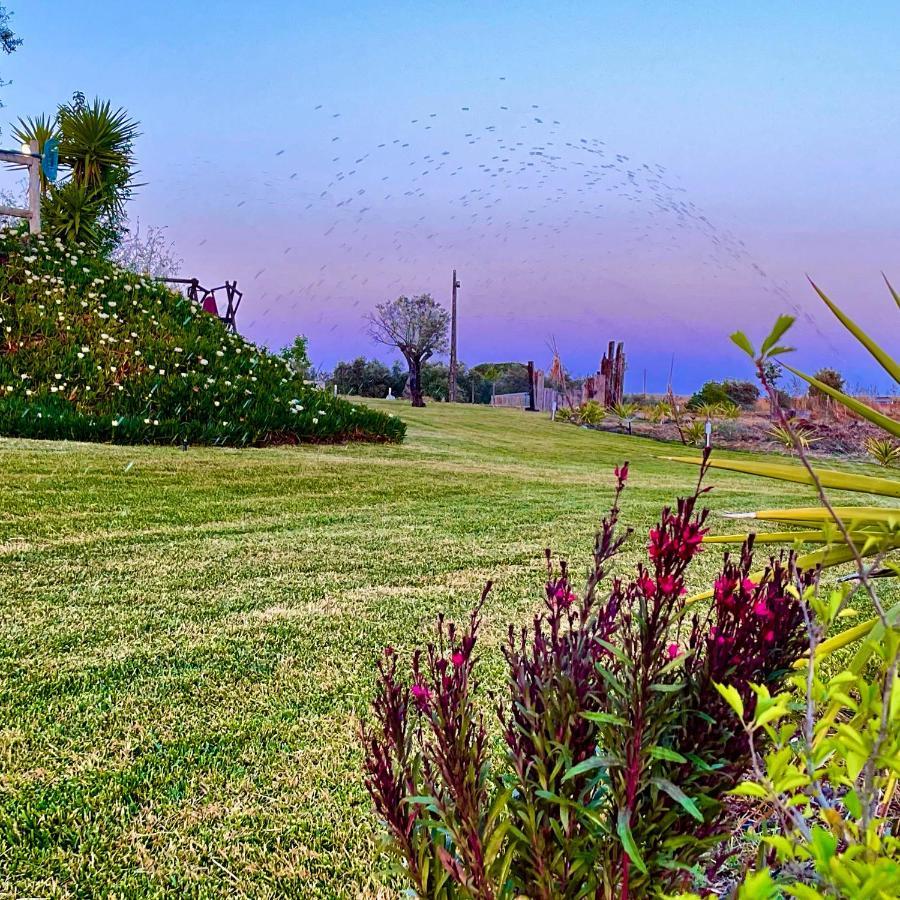 Monte Dos Pocos Hotel Aljustrel  Bagian luar foto